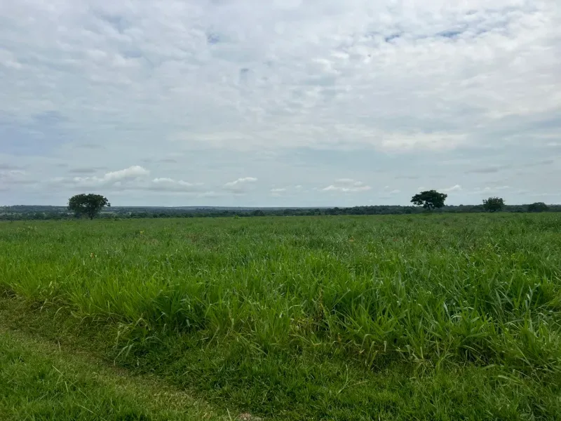 Fazenda em Colinas do Tocantins/Tocantins — Ref FILKTB — Imagem 7