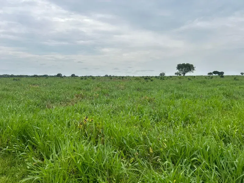 Fazenda em Colinas do Tocantins/Tocantins — Ref FILKTB — Imagem 8