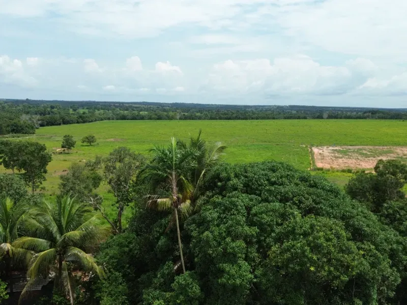 Fazenda em Colinas do Tocantins/Tocantins — Ref FILKTB — Imagem 9