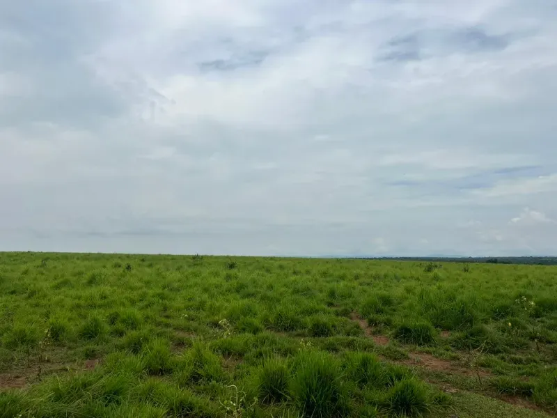 Fazenda em Colinas do Tocantins/Tocantins — Ref FILKTB — Imagem 11