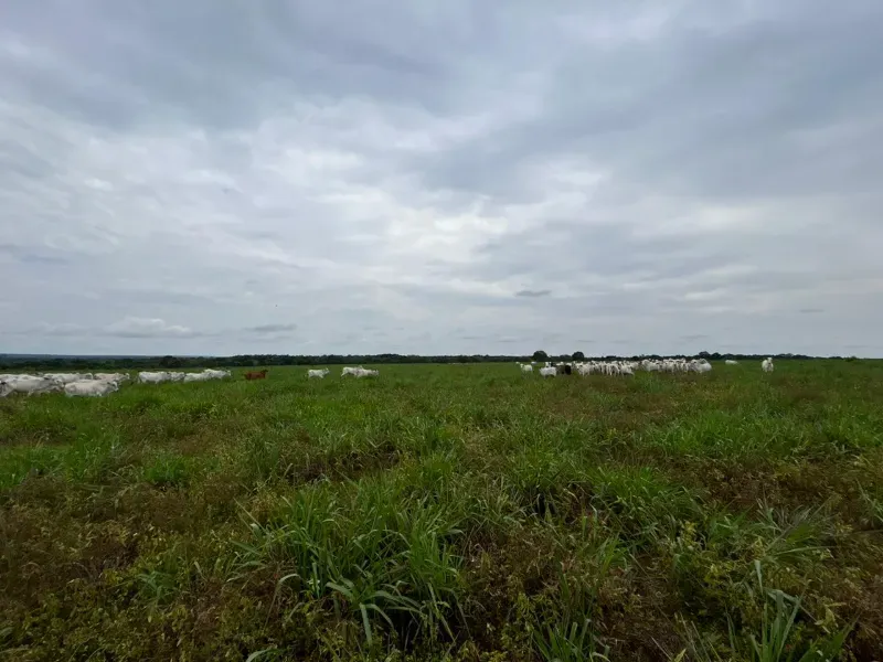 Fazenda em Colinas do Tocantins/Tocantins — Ref FILKTB — Imagem 13