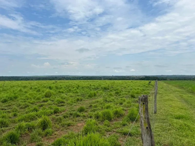 Fazenda em Colinas do Tocantins/Tocantins — Ref FILKTB — Imagem 17