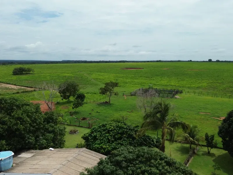 Fazenda em Colinas do Tocantins/Tocantins — Ref FILKTB — Imagem 19