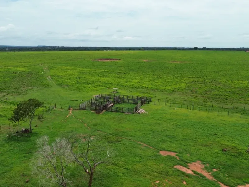 Fazenda em Colinas do Tocantins/Tocantins — Ref FILKTB — Imagem 22
