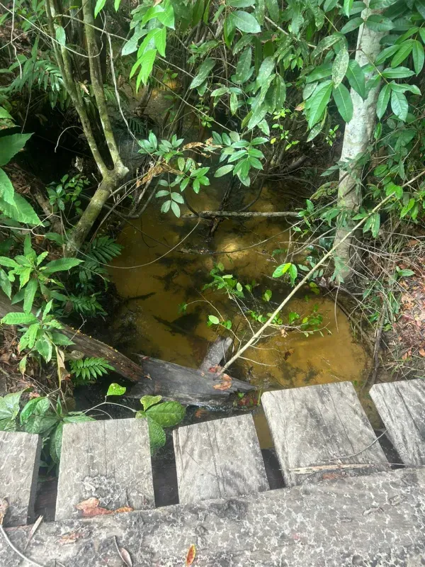 Fazenda em Colinas do Tocantins/Tocantins — Ref I3BJ5D — Imagem 12