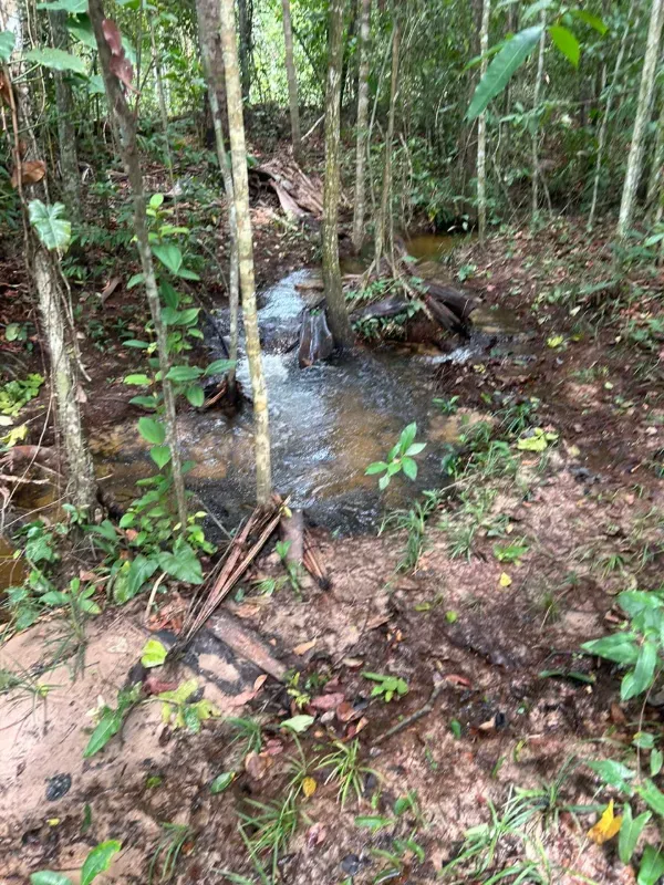 Fazenda em Colinas do Tocantins/Tocantins — Ref I3BJ5D — Imagem 11