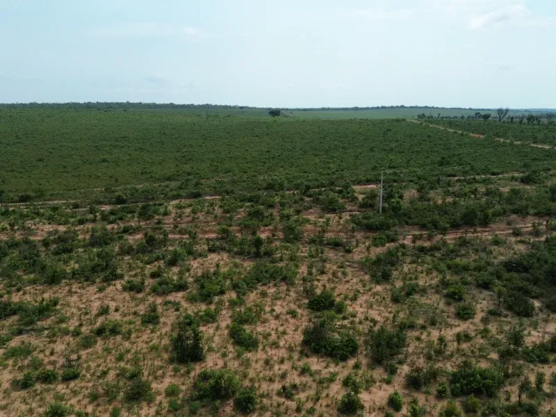 Fazenda em Colinas do Tocantins/Tocantins — Ref I3BJ5D — Imagem 7