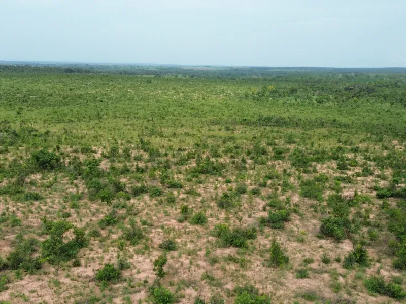 Fazenda em Colinas do Tocantins/Tocantins — Ref I3BJ5D — Imagem 8