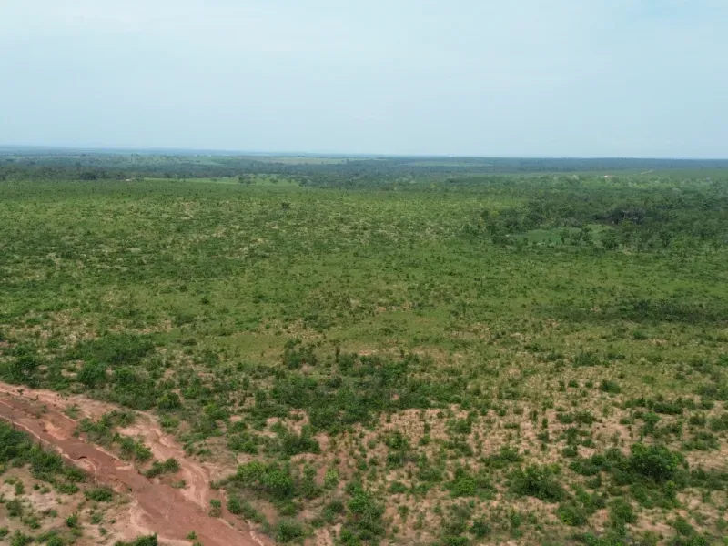 Fazenda em Colinas do Tocantins/Tocantins — Ref I3BJ5D — Imagem 4