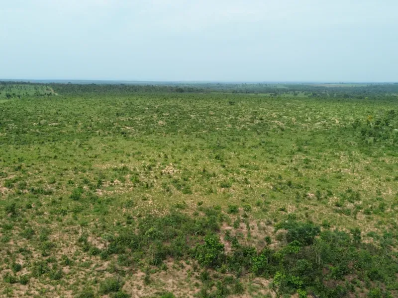 Fazenda em Colinas do Tocantins/Tocantins — Ref I3BJ5D — Imagem 9