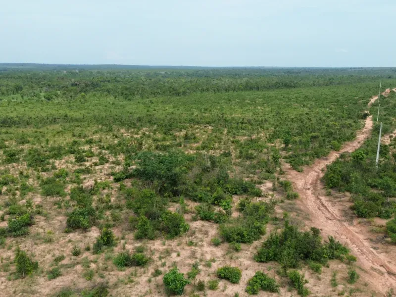 Fazenda em Colinas do Tocantins/Tocantins — Ref I3BJ5D — Imagem 5