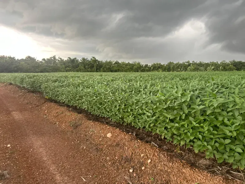Imóvel rural em Juarina/Tocantins — Ref ENPMH91