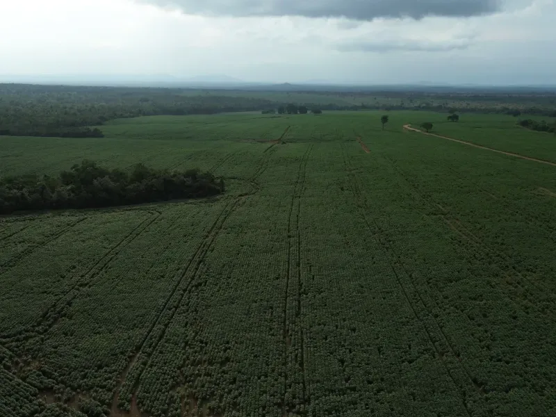 Fazenda em Juarina/Tocantins — Ref ENPMH9 — Imagem 3