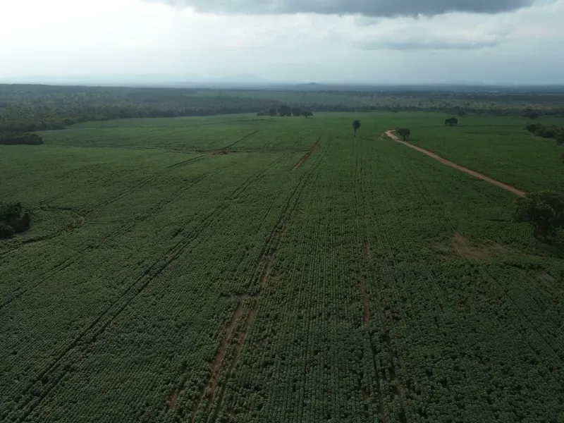 Fazenda em Juarina/Tocantins — Ref ENPMH9 — Imagem 8