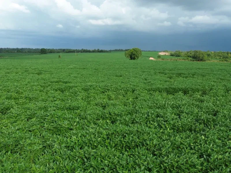 Fazenda em Juarina/Tocantins — Ref ENPMH9 — Imagem 9