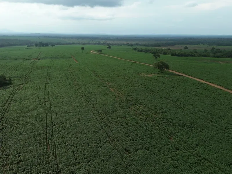 Fazenda em Juarina/Tocantins — Ref ENPMH9 — Imagem 10