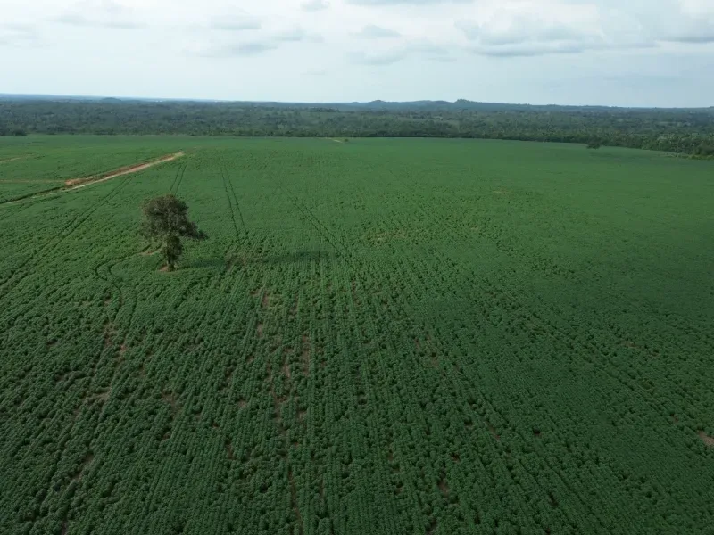 Fazenda em Juarina/Tocantins — Ref ENPMH9 — Imagem 12