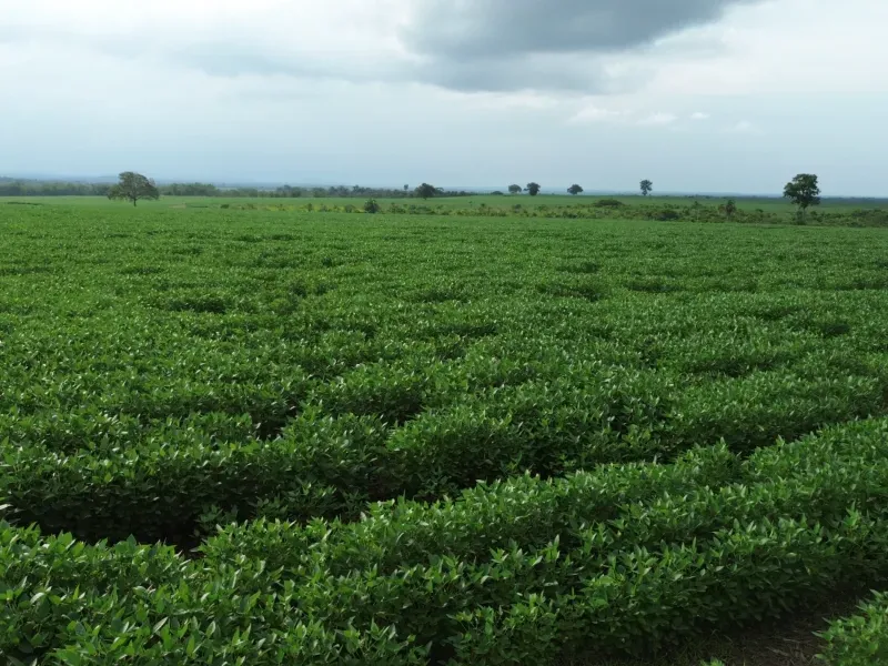 Fazenda em Juarina/Tocantins — Ref ENPMH9 — Imagem 16