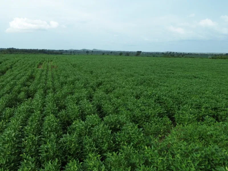 Fazenda em Juarina/Tocantins — Ref ENPMH9 — Imagem 18