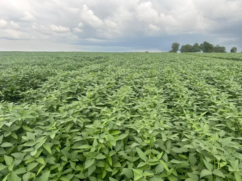 Fazenda em Juarina/Tocantins — Ref ENPMH9 — Imagem 2