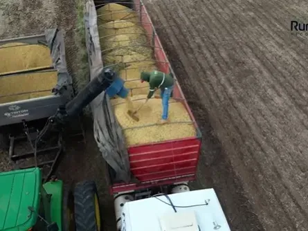 Fazenda em Guaraí/Tocantins — Ref Y444V1 — Imagem 6