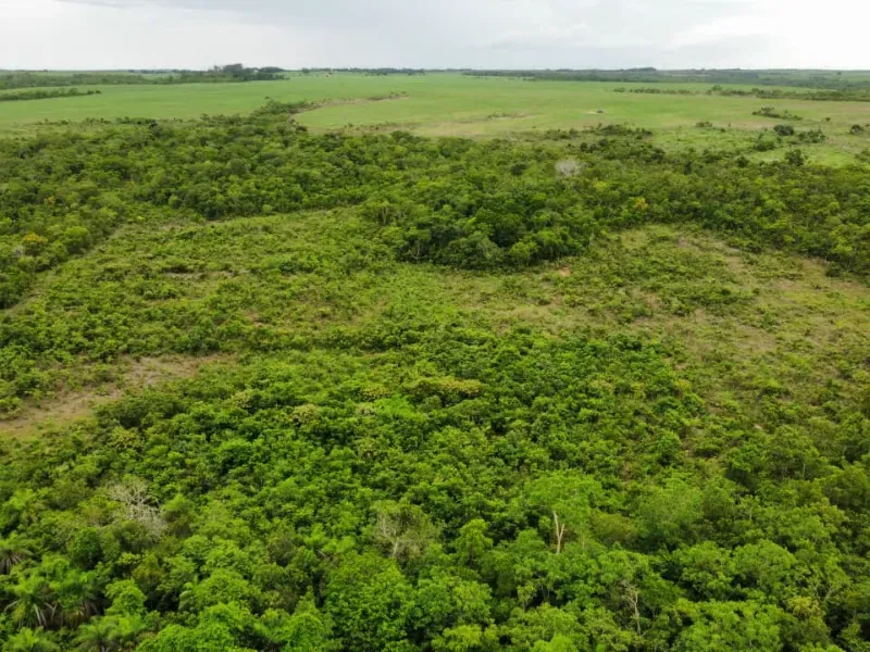 Fazenda em Pedro Afonso/Tocantins — Ref RCQT7X — Imagem 6