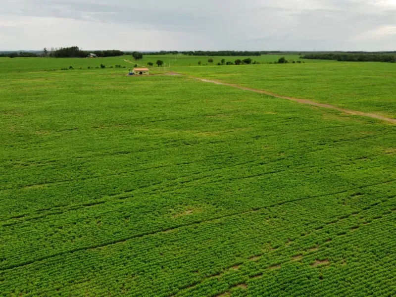 Fazenda em Pedro Afonso/Tocantins — Ref RCQT7X — Imagem 10