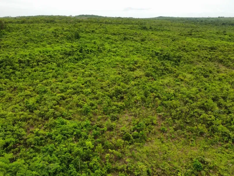 Fazenda em Pedro Afonso/Tocantins — Ref RCQT7X — Imagem 7