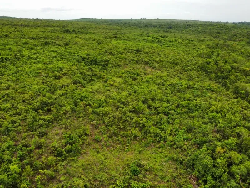 Fazenda em Pedro Afonso/Tocantins — Ref RCQT7X — Imagem 8