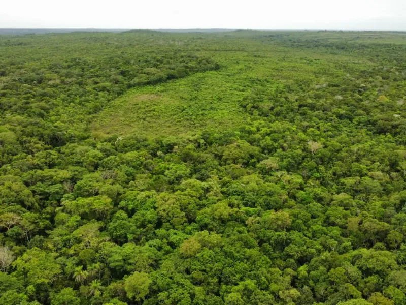 Fazenda em Pedro Afonso/Tocantins — Ref RCQT7X — Imagem 9