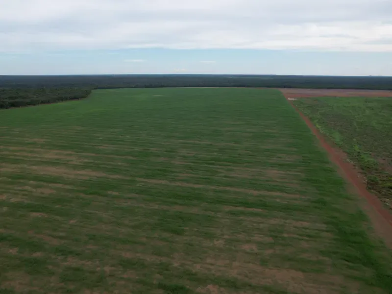 Fazenda em Pium/Tocantins — Ref XABDYO — Imagem 4