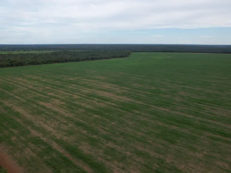 Fazenda em Pium/Tocantins — Ref XABDYO — Imagem 7