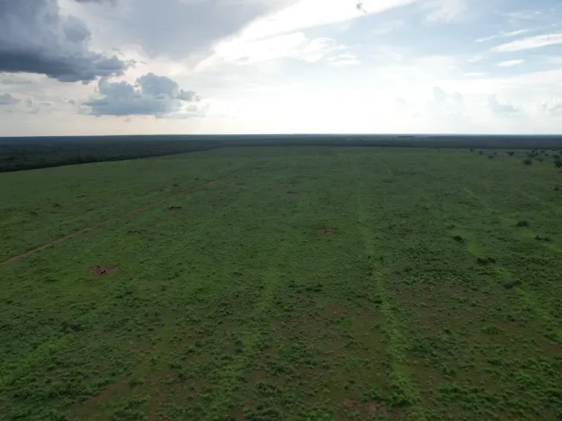Fazenda em Pium/Tocantins — Ref XABDYO — Imagem 1