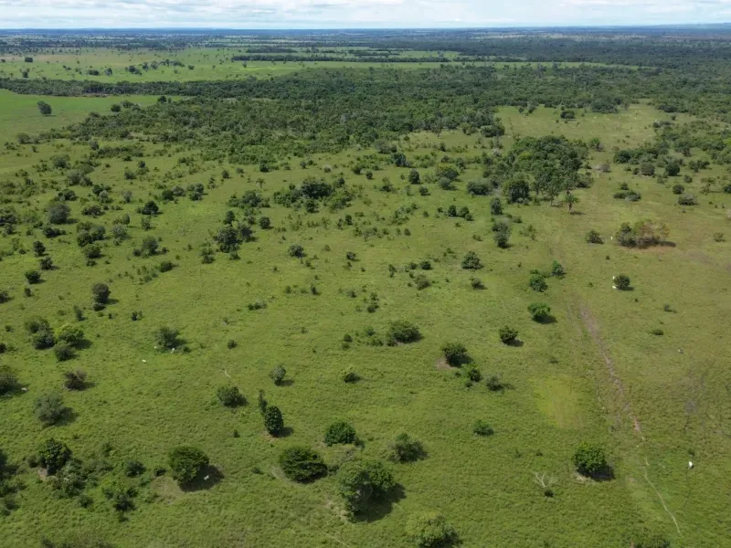 Imóvel rural em Arapoema/Tocantins — Ref QOTWQ91