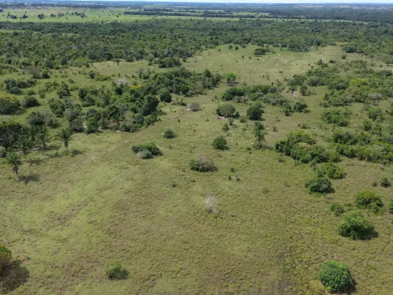 Fazenda em Arapoema/Tocantins — Ref QOTWQ9 — Imagem 4