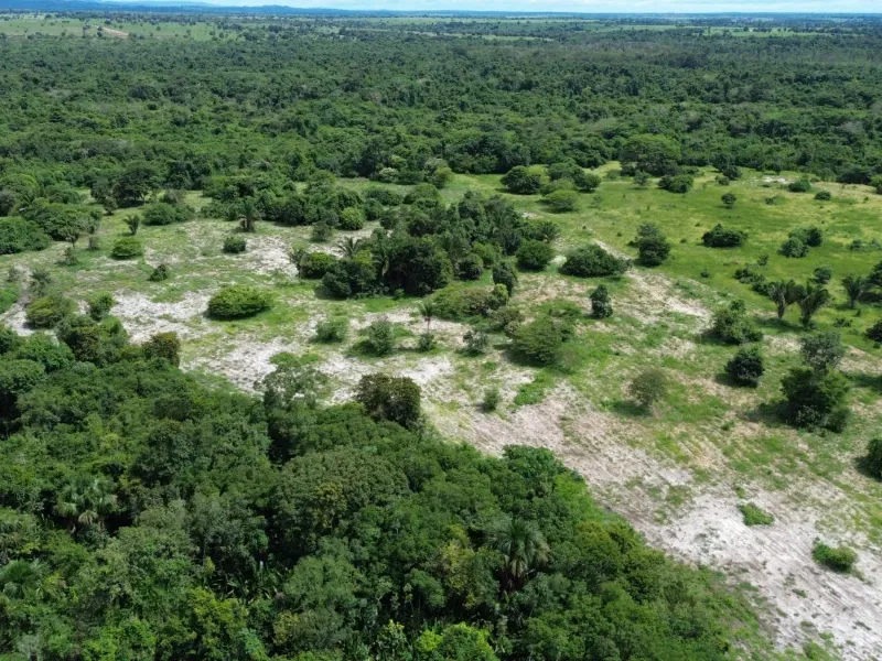 Fazenda em Arapoema/Tocantins — Ref QOTWQ9 — Imagem 6