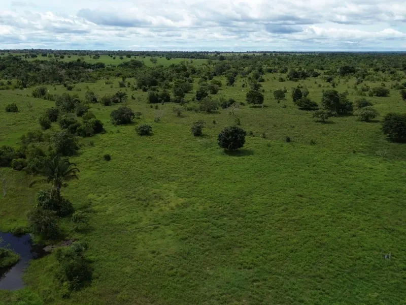 Fazenda em Arapoema/Tocantins — Ref QOTWQ9 — Imagem 10