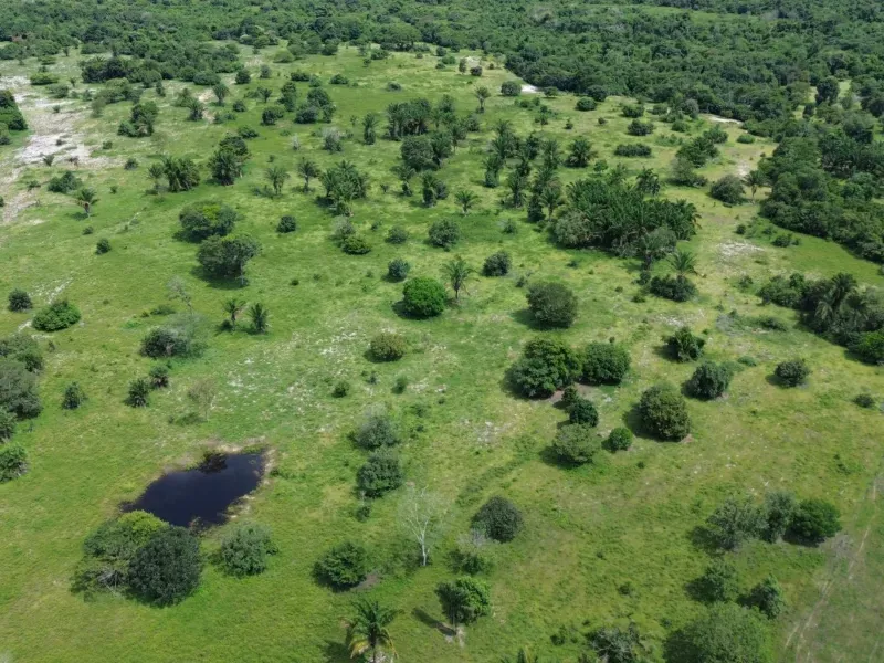 Fazenda em Arapoema/Tocantins — Ref QOTWQ9 — Imagem 11