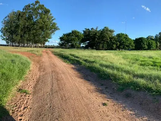 Imóvel rural em Caracol/Mato Grosso do Sul — Ref U5EHWL1