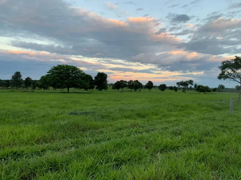 Fazenda em Caracol/Mato Grosso do Sul — Ref U5EHWL — Imagem 3