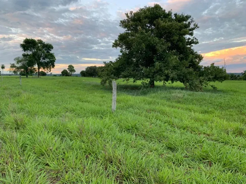 Fazenda em Caracol/Mato Grosso do Sul — Ref U5EHWL — Imagem 4