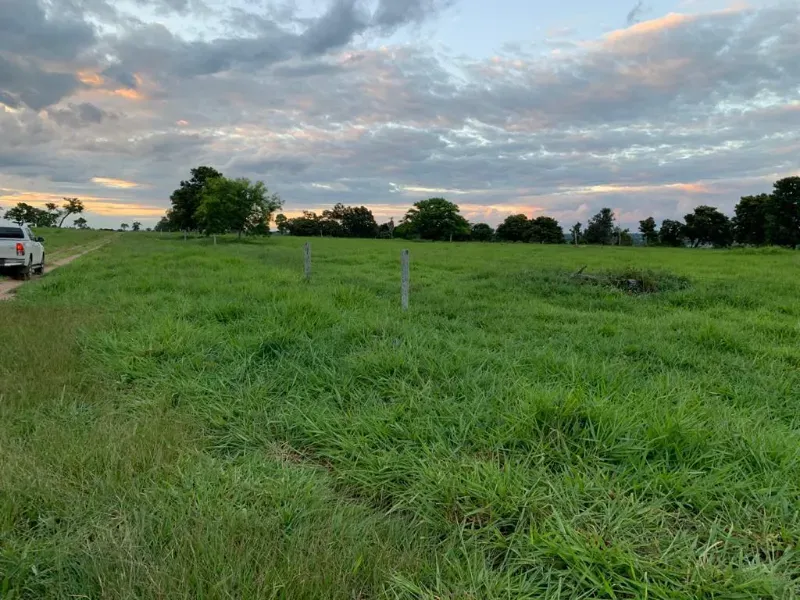Fazenda em Caracol/Mato Grosso do Sul — Ref U5EHWL — Imagem 5