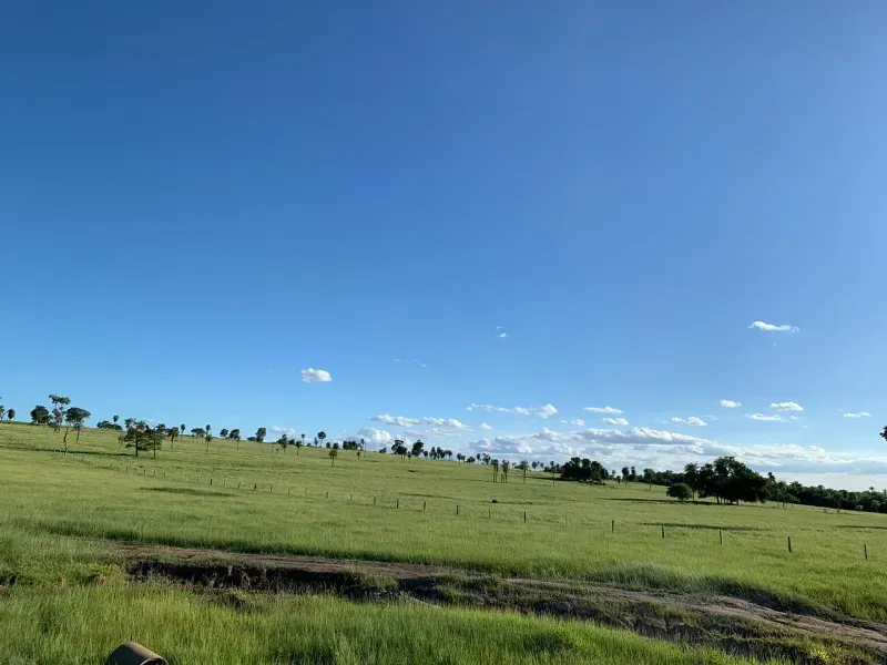 Fazenda em Caracol/Mato Grosso do Sul — Ref U5EHWL — Imagem 6