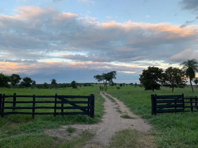 Fazenda em Caracol/Mato Grosso do Sul — Ref U5EHWL — Imagem 7