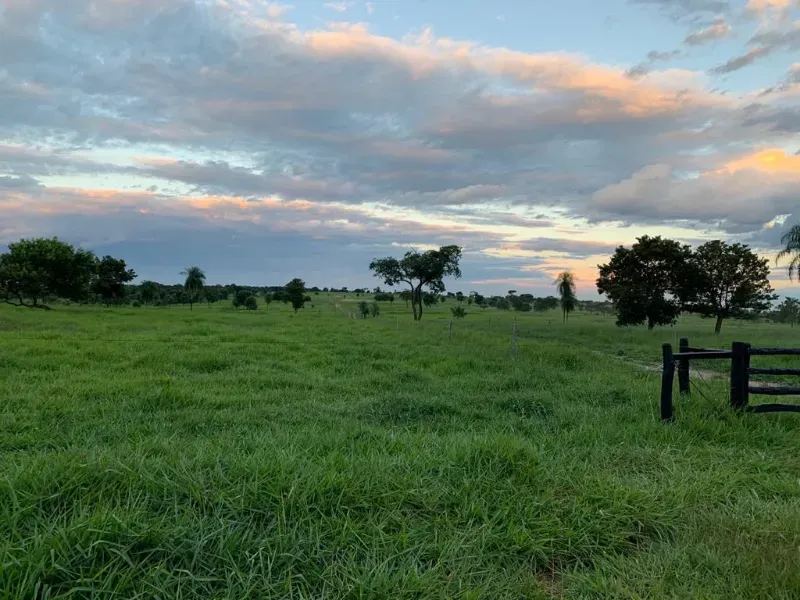 Fazenda em Caracol/Mato Grosso do Sul — Ref U5EHWL — Imagem 8