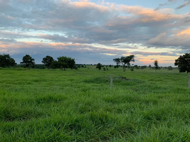 Fazenda em Caracol/Mato Grosso do Sul — Ref U5EHWL — Imagem 9