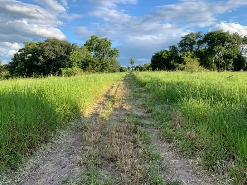 Fazenda em Caracol/Mato Grosso do Sul — Ref U5EHWL — Imagem 10