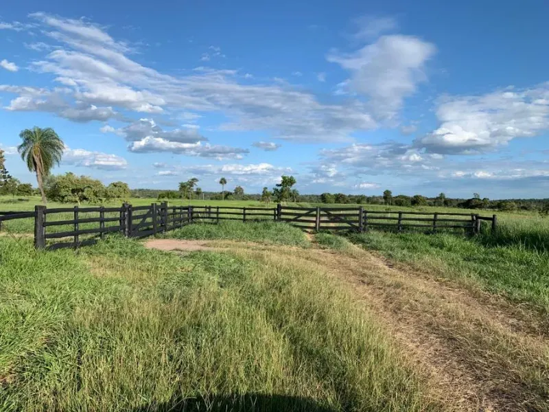 Fazenda em Caracol/Mato Grosso do Sul — Ref U5EHWL — Imagem 11
