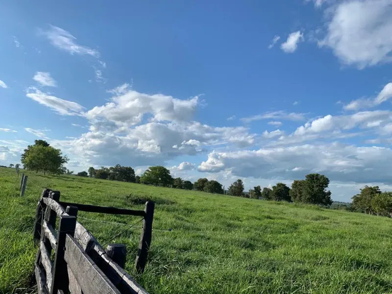 Fazenda em Caracol/Mato Grosso do Sul — Ref U5EHWL — Imagem 12