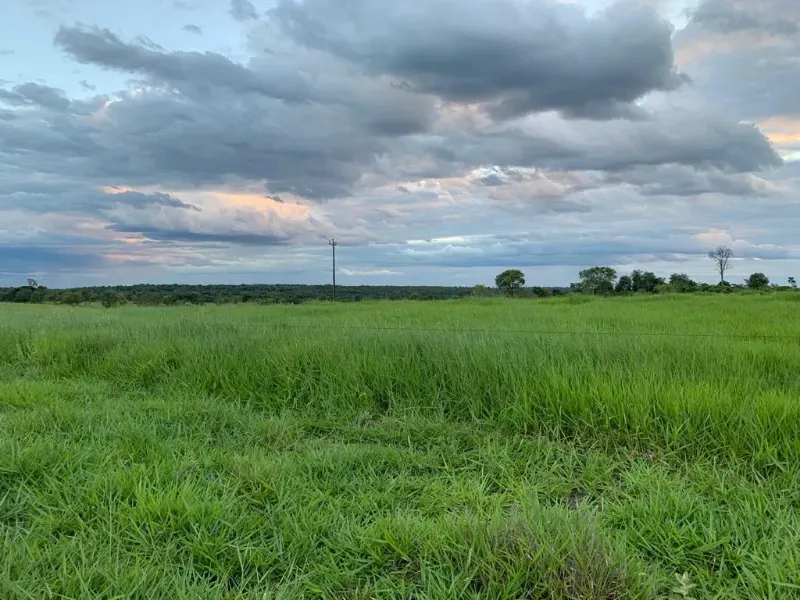 Fazenda em Caracol/Mato Grosso do Sul — Ref U5EHWL — Imagem 13